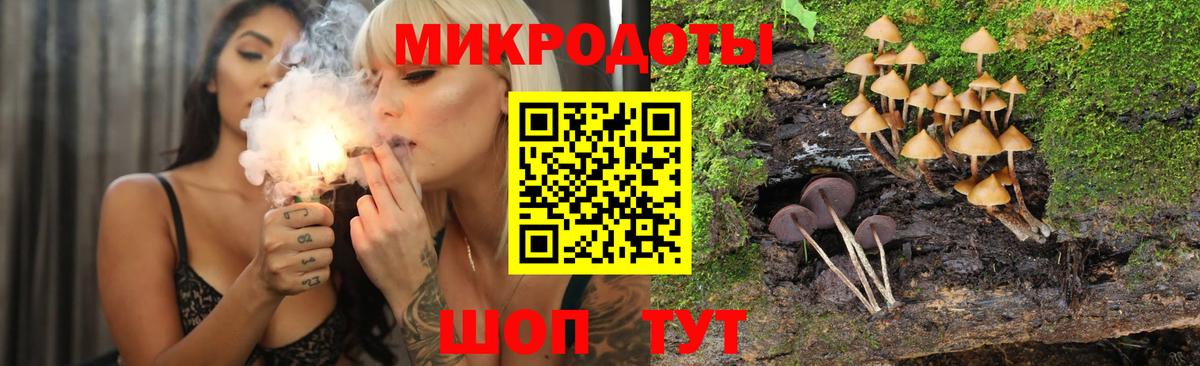 Псилоцибиновые грибы GOLDEN TEACHER  Вход с VPN  Сегежа 